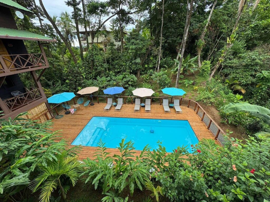 Pool deck with open umbrellas and tropical garden