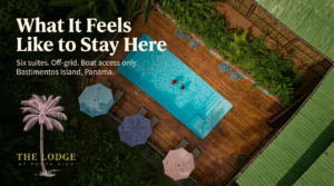 featured image 1782313659