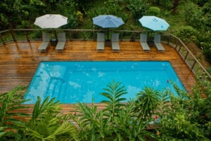 Pool with umbrellas and loungers surrounded by tropical plants