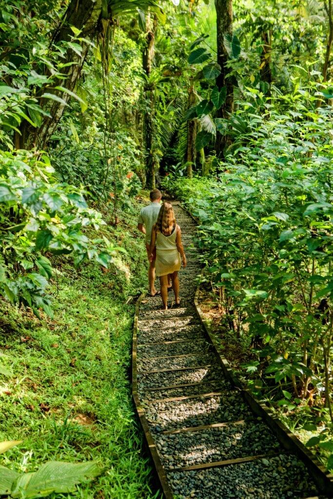 Guest walking the jungle path to The Lodge at Punta Rica