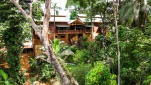 Aerial view of The Lodge at Punta Rica among the rainforest